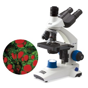 생물현미경 OSH T 시리즈