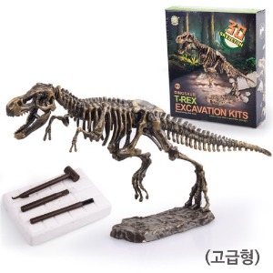 공룡화석 발굴키트 대 매머드